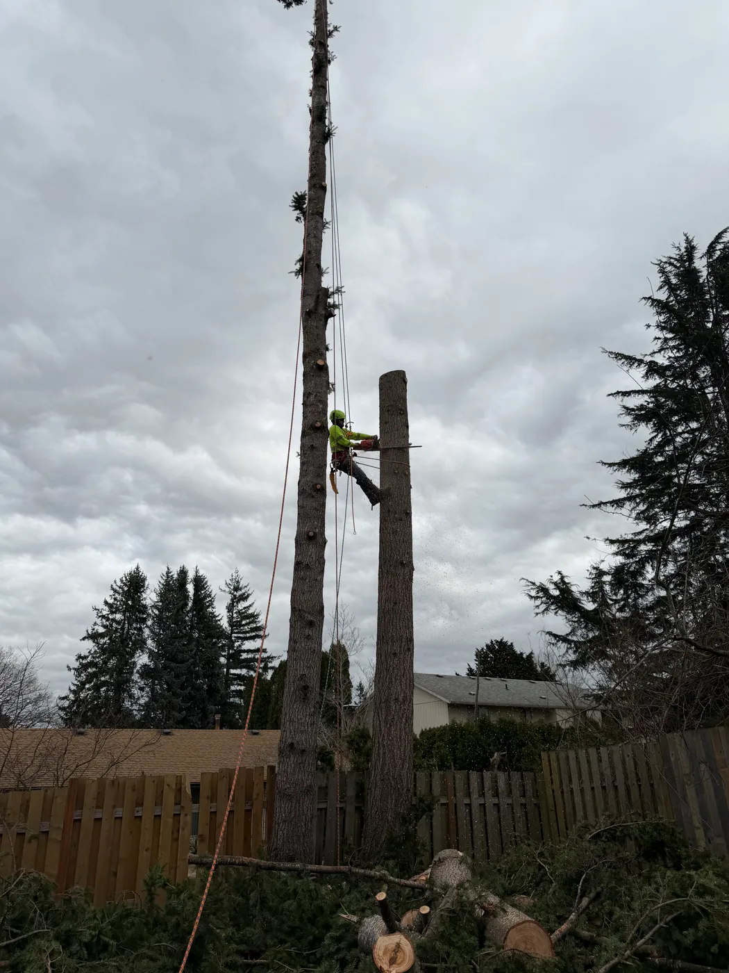 SkyTop tree service crew at work in an Oregon yard