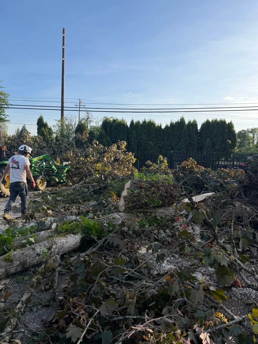 Careful tree removal over a rooftop and fence line