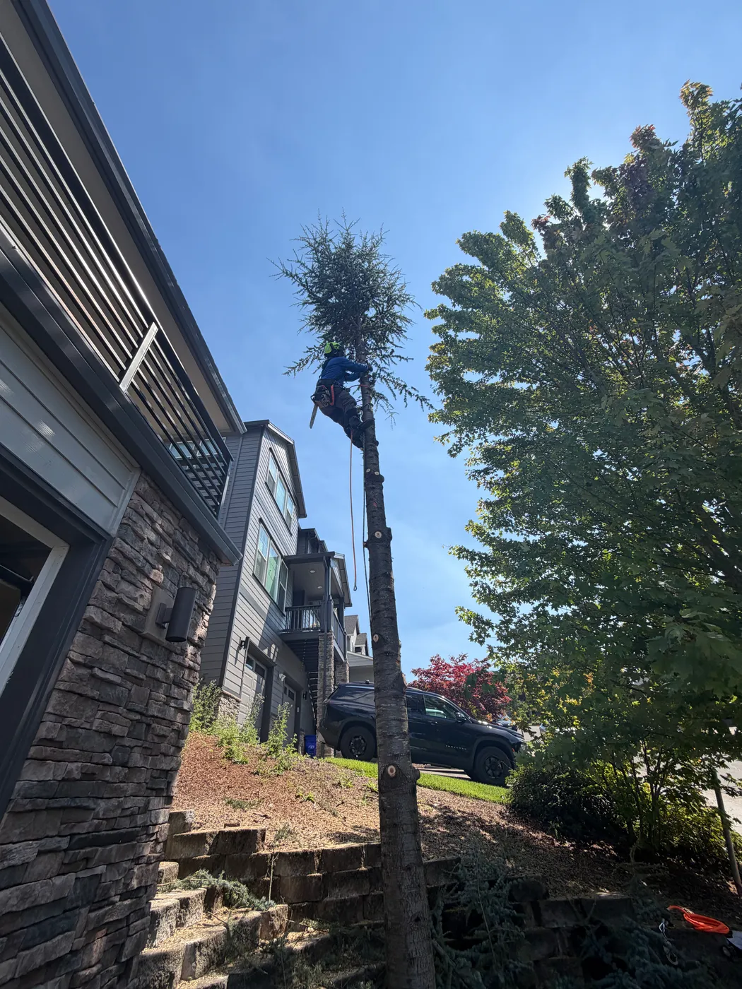 Storm-damaged tree cleared from a residential property