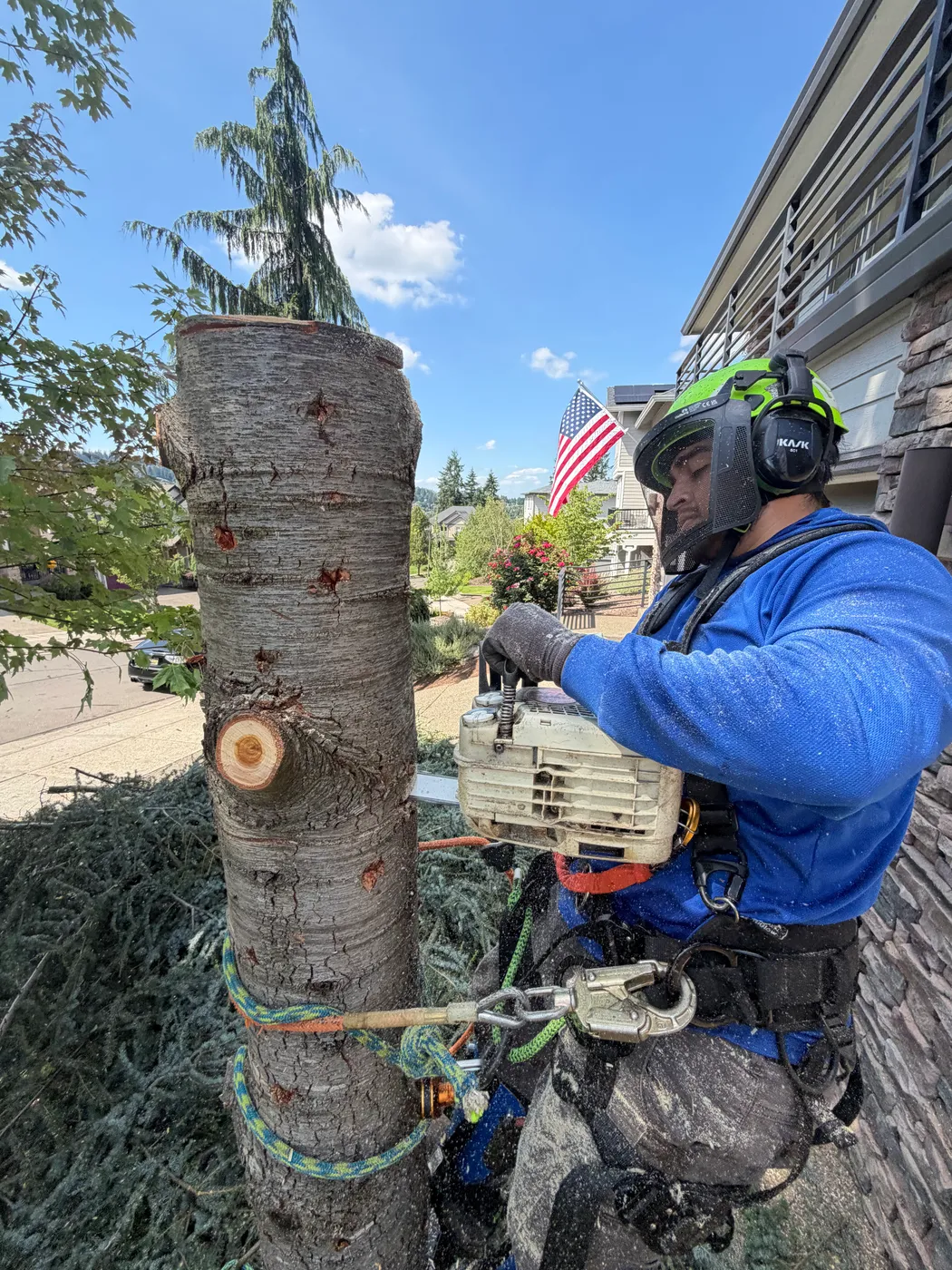 Tall tree removal in progress above a wooden fence